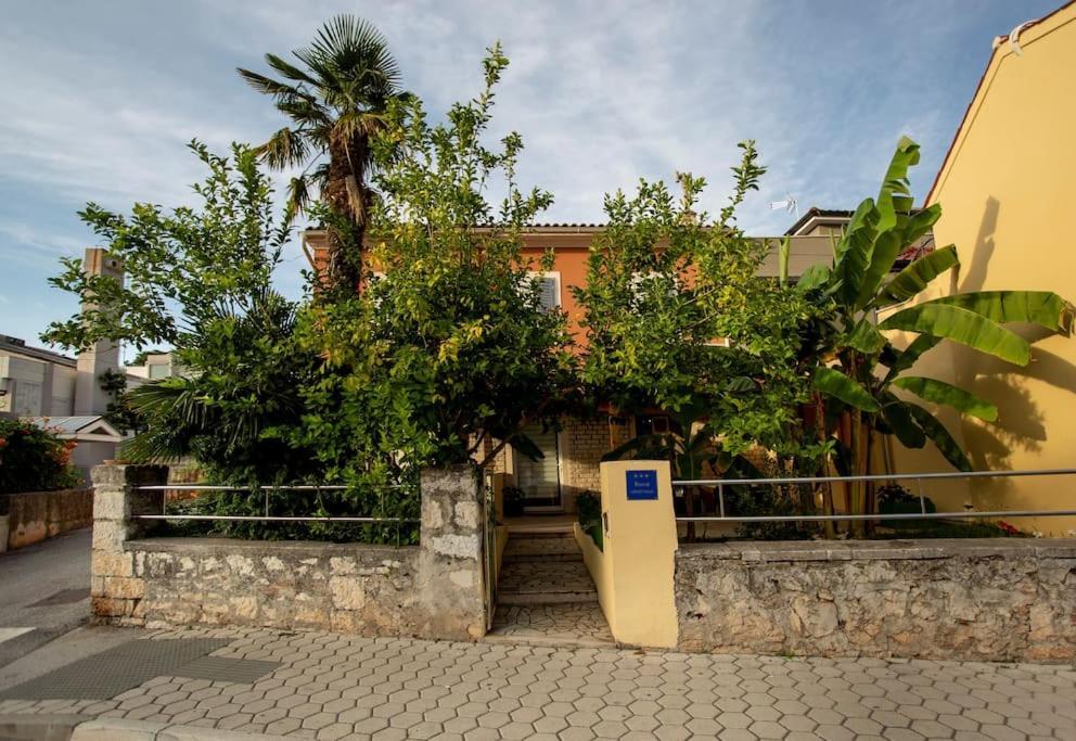 Apartman Den,Rovinj Oaza U Centru Grada I Besplatnim Parkingom Apartment Екстериор снимка