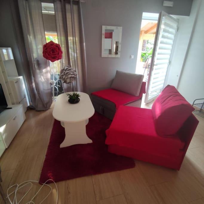 Apartman Den,Rovinj Oaza U Centru Grada I Besplatnim Parkingom Apartment Екстериор снимка