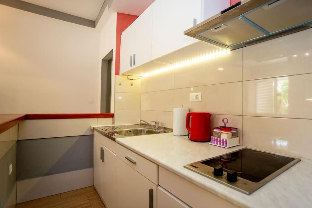 Apartman Den,Rovinj Oaza U Centru Grada I Besplatnim Parkingom Apartment Екстериор снимка